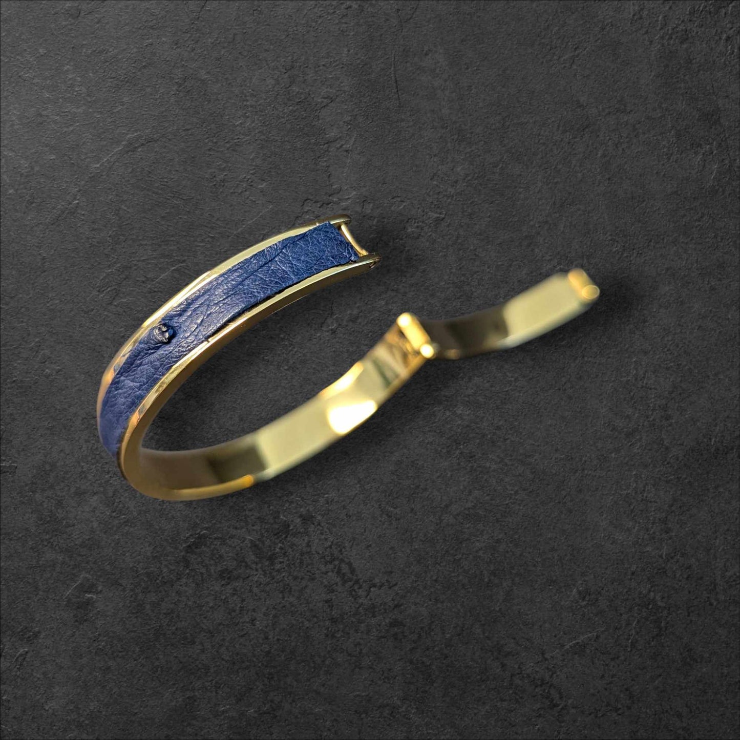 Bracelet Jonc AUTRUCHE