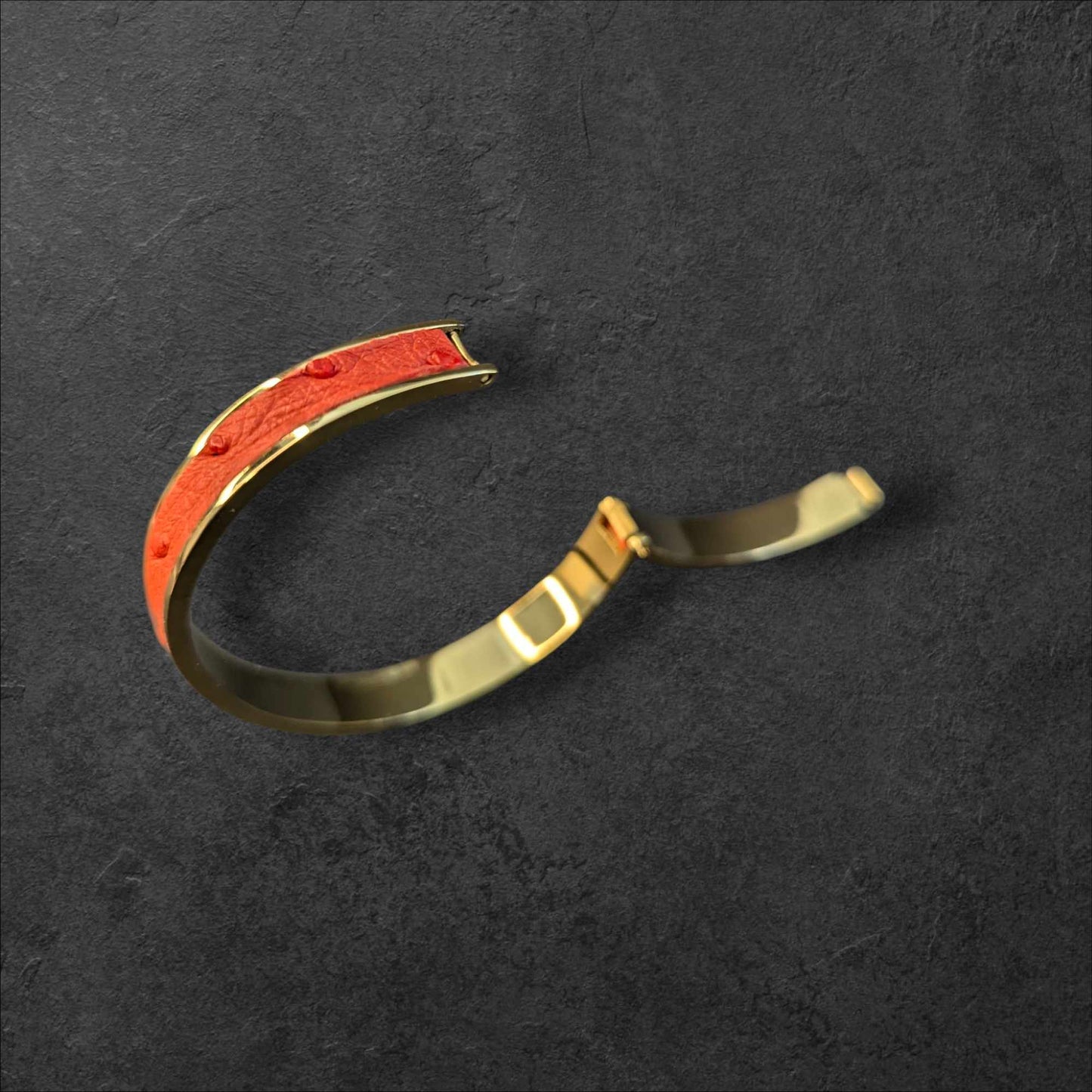 Bracelet Jonc AUTRUCHE