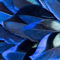 Abat-jour Conique en plumes de CANARD