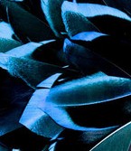 Abat-jour Conique en plumes de CANARD