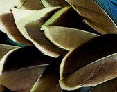 Abat-jour Conique en plumes de CANARD