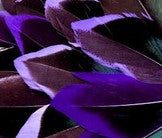 Abat-jour Conique en plumes de CANARD