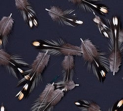 Abat-jour Conique en plumes de COQ DE SONNERAT