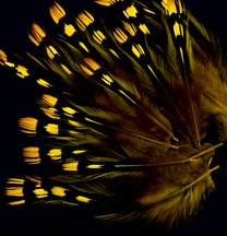 Abat-jour Conique en plumes de COQ DE SONNERAT