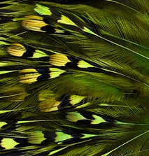 Abat-jour Conique en plumes de COQ DE SONNERAT