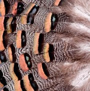 Abat-jour Conique en plumes de DINDON OCELLÉ