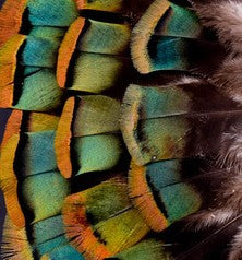 Abat-jour Conique en plumes de DINDON OCELLÉ