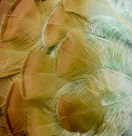 Abat-jour rond en plumes de DINDON BRONZÉ