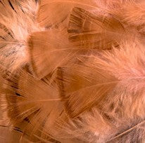 Abat-jour rond en plumes de DINDON BRONZÉ