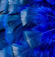 Abat-jour Conique en plumes de DINDON BRONZÉ