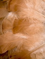 Abat-jour Conique en plumes de DINDON BRONZÉ