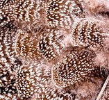 Abat-jour Conique en plumes d'ÉPERONNIER DE CHINQUIS