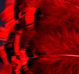 Abat-jour Conique en plumes de FAISAN LADY HAMERST