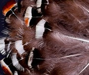 Abat-jour Conique en plumes de FAISAN LADY HAMERST