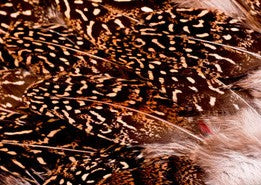 Abat-jour Rond en plumes de FAISAN DE COLCHIDE