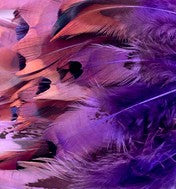 Abat-jour Rond en plumes de FAISAN DE COLCHIDE