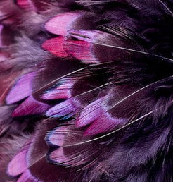Abat-jour Rond en plumes de FAISAN DE COLCHIDE