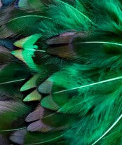 Abat-jour Rond en plumes de FAISAN DE COLCHIDE