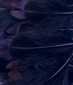 Abat-jour Rond en plumes de FAISAN DE COLCHIDE