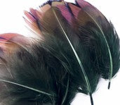 Abat-jour Rond en plumes de FAISAN DE COLCHIDE