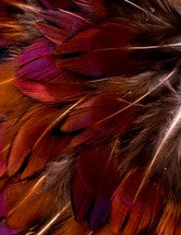 Abat-jour Rond en plumes de FAISAN DE COLCHIDE