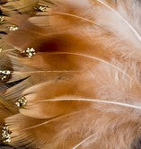 Abat-jour Rond en plumes de FAISAN DE COLCHIDE