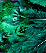 Abat-jour rond en plumes de FAISAN DORÉ