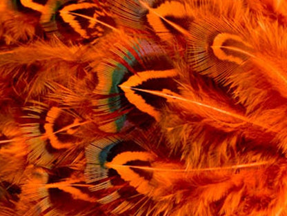 Abat-jour conique en plumes de Faisan Doré