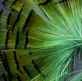 Abat-jour conique en plumes de Faisan Doré