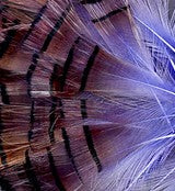 Abat-jour conique en plumes de Faisan Doré