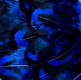 Abat-jour conique en plumes de FAISAN VÉNÉRÉ