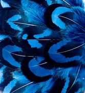 Abat-jour Rond en plumes de FAISAN VÉNÉRÉ