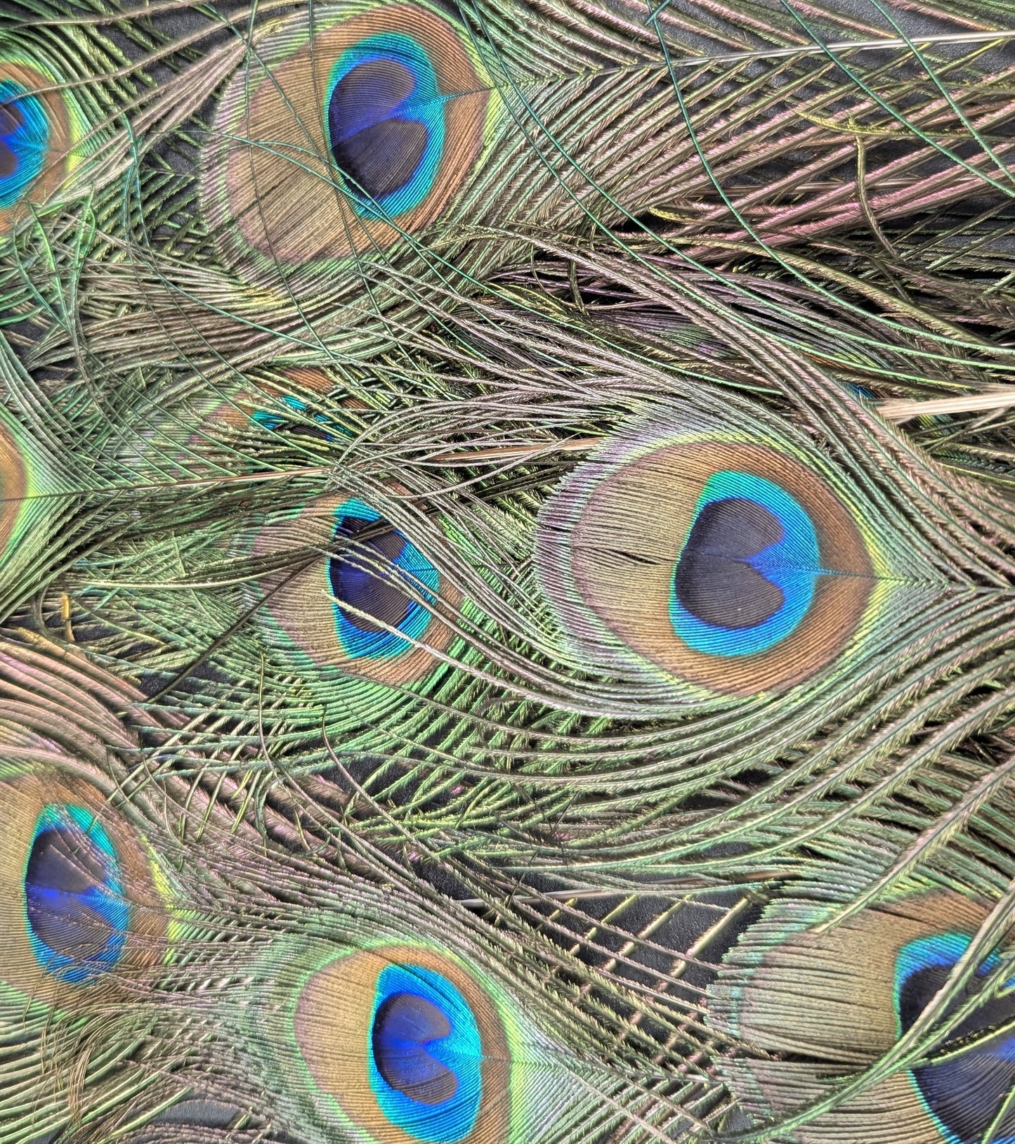 Abat-jour Rond en plumes de PAON BLEU