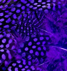 Abat-jour Conique en plumes de PINTADE DE NUMIDIE