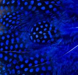 Abat-jour Rond en plumes de PINTADE DE NUMIDIE