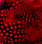 Abat-jour Conique en plumes de PINTADE DE NUMIDIE