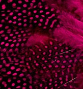 Abat-jour Rond en plumes de PINTADE DE NUMIDIE