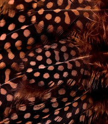 Abat-jour Rond en plumes de PINTADE DE NUMIDIE