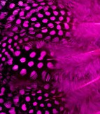 Abat-jour Conique en plumes de PINTADE DE NUMIDIE