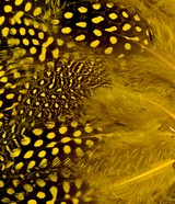 Abat-jour Conique en plumes de PINTADE DE NUMIDIE