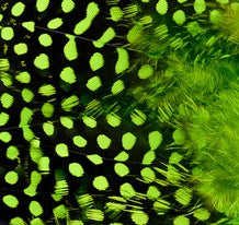 Abat-jour Conique en plumes de PINTADE DE NUMIDIE