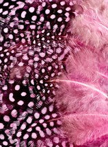 Abat-jour Conique en plumes de PINTADE DE NUMIDIE