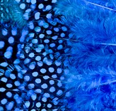 Abat-jour Rond en plumes de PINTADE DE NUMIDIE