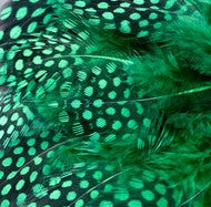 Abat-jour Conique en plumes de PINTADE DE NUMIDIE