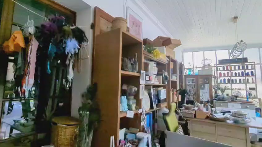 Charger la vidéo : 